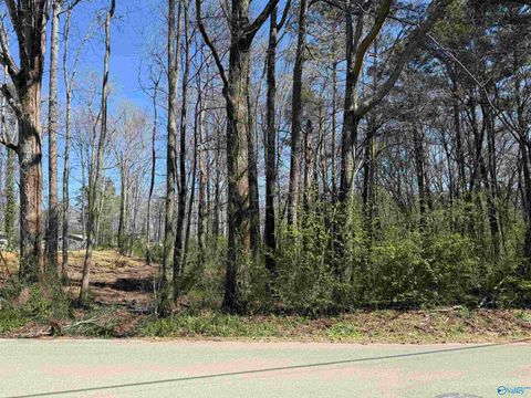 Vacant Land For Sale - XX 10th Street<br/> Arab, AL 35016