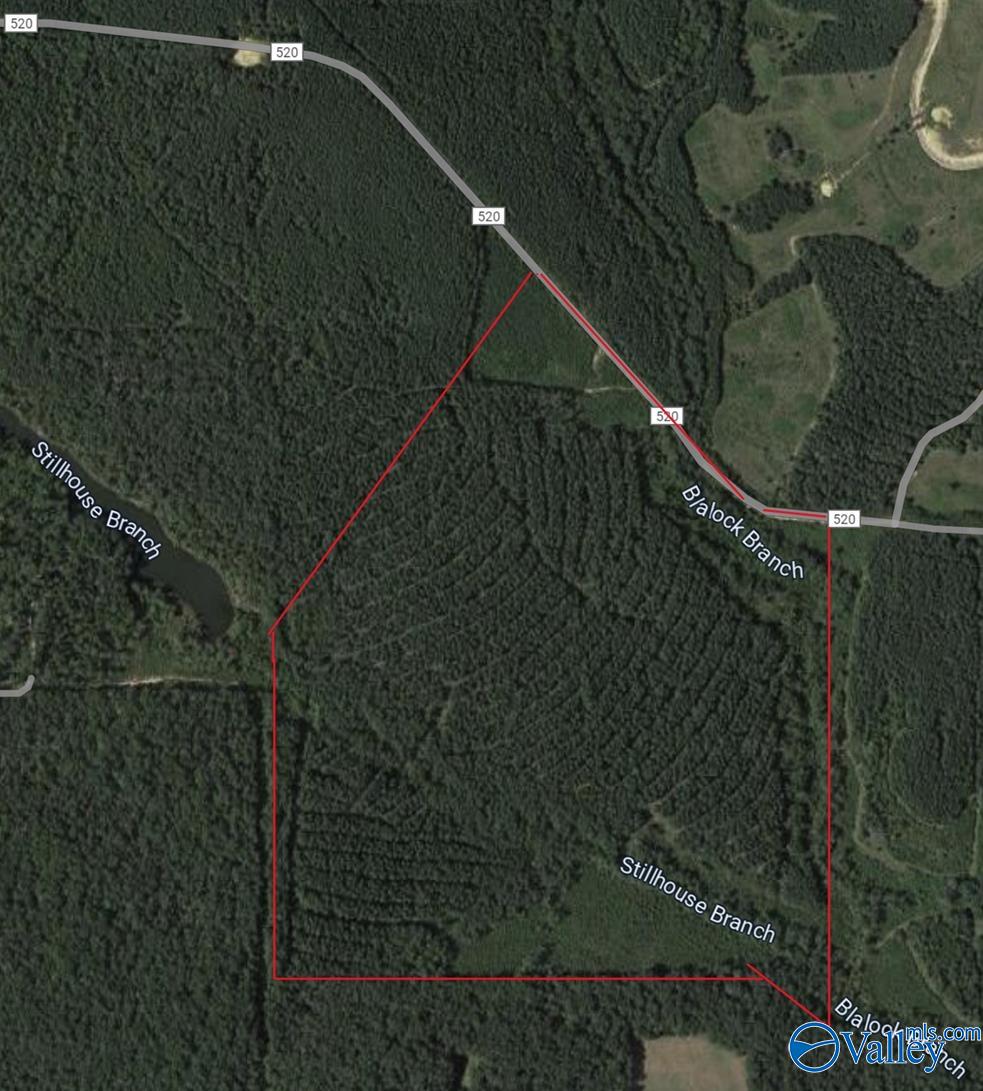 Lot D County Road 520, Mentone, Alabama image 25