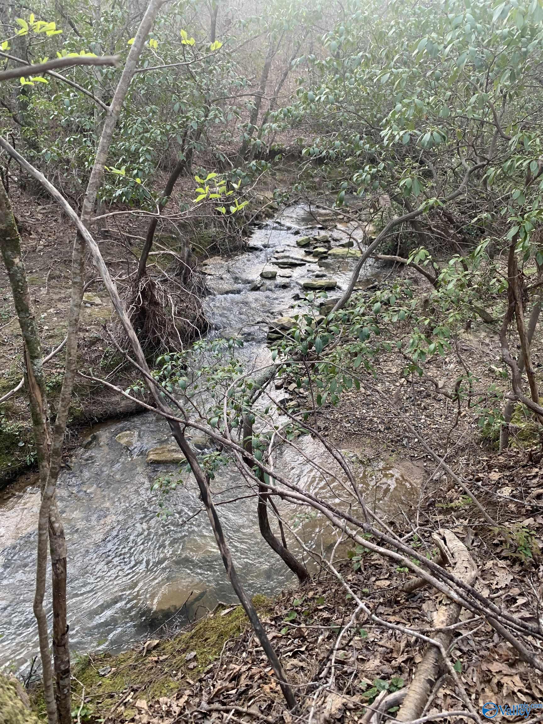 Lot D County Road 520, Mentone, Alabama image 8