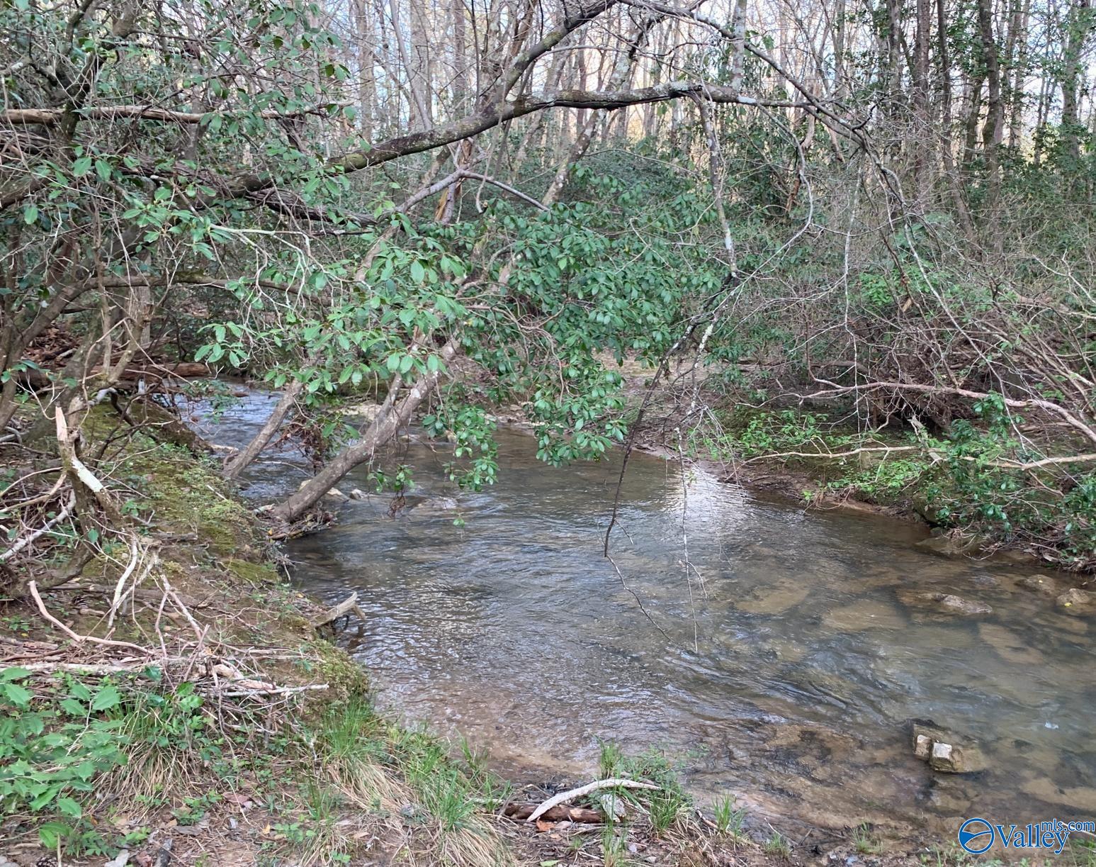 Lot D County Road 520, Mentone, Alabama image 7