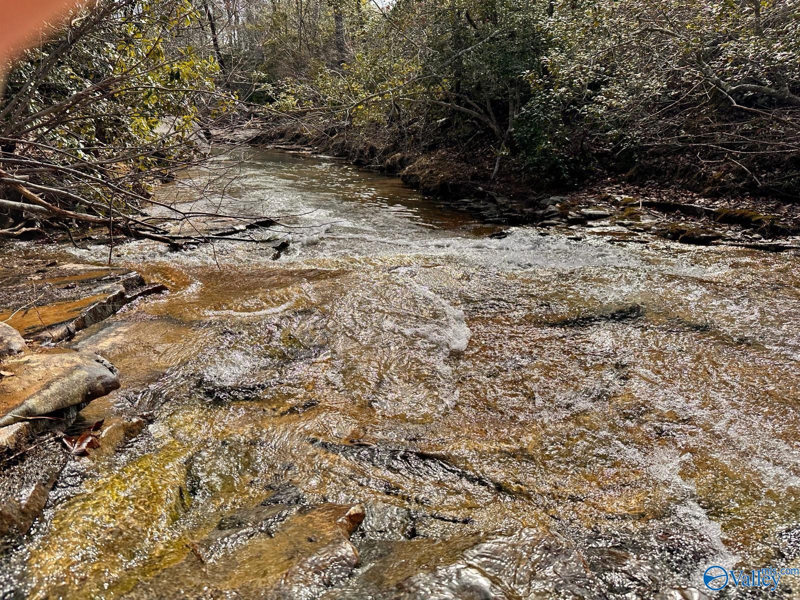 Lot D County Road 520, Mentone, Alabama image 4