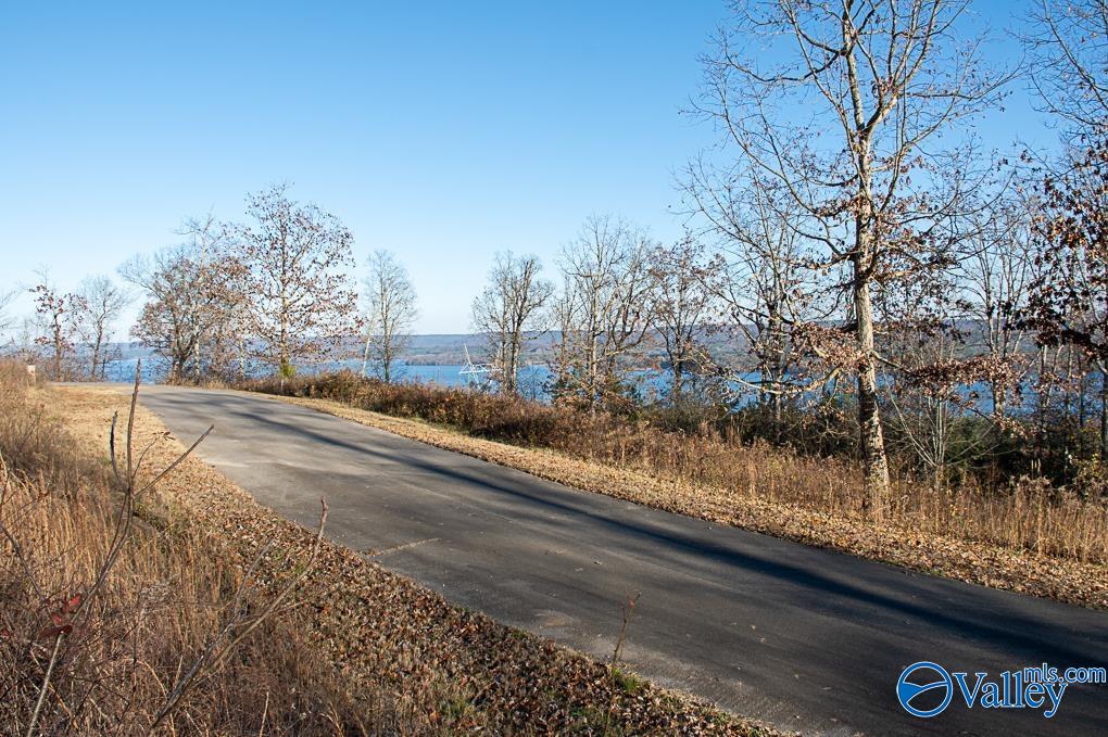 Lot 10 Keene Point Drive, Grant, Alabama image 16