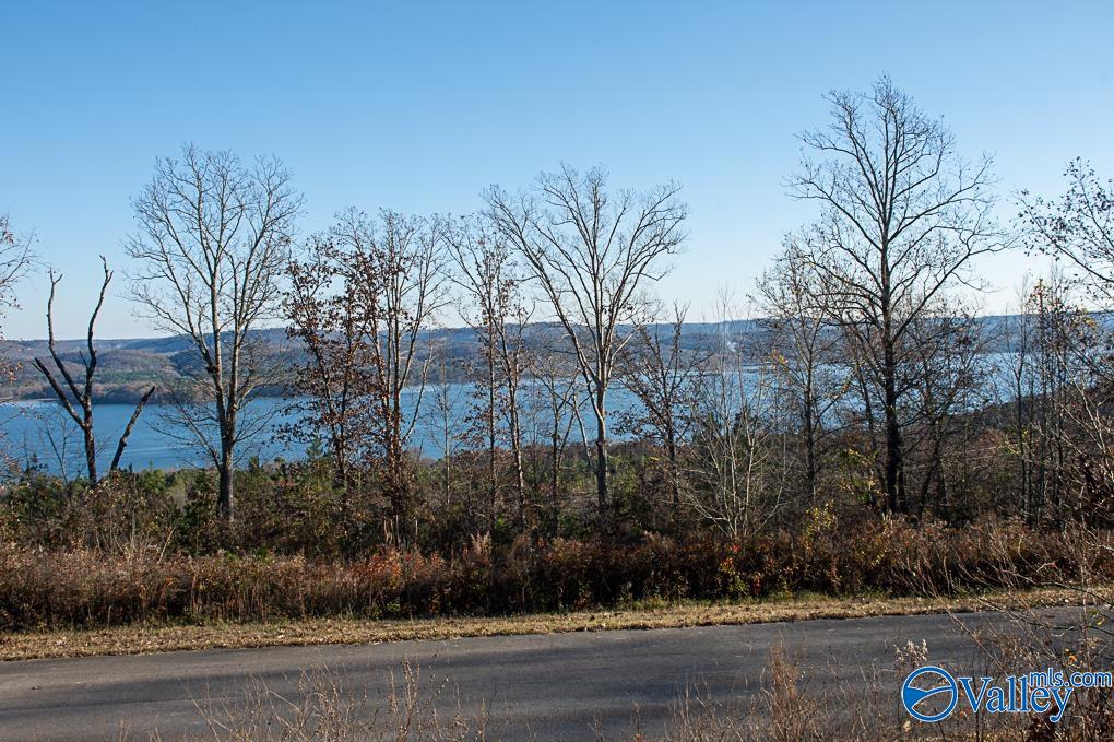 Lot 10 Keene Point Drive, Grant, Alabama image 34