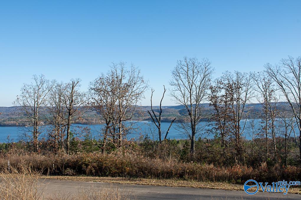 Lot 10 Keene Point Drive, Grant, Alabama image 32