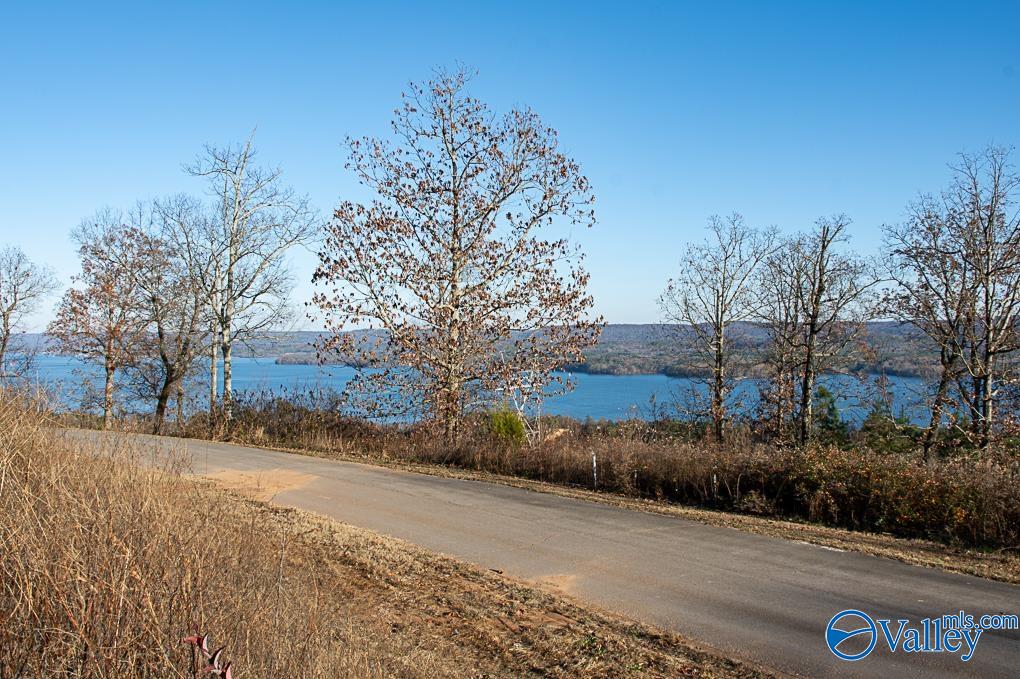 Lot 10 Keene Point Drive, Grant, Alabama image 12