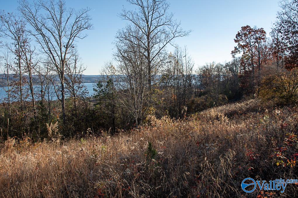 Lot 10 Keene Point Drive, Grant, Alabama image 15