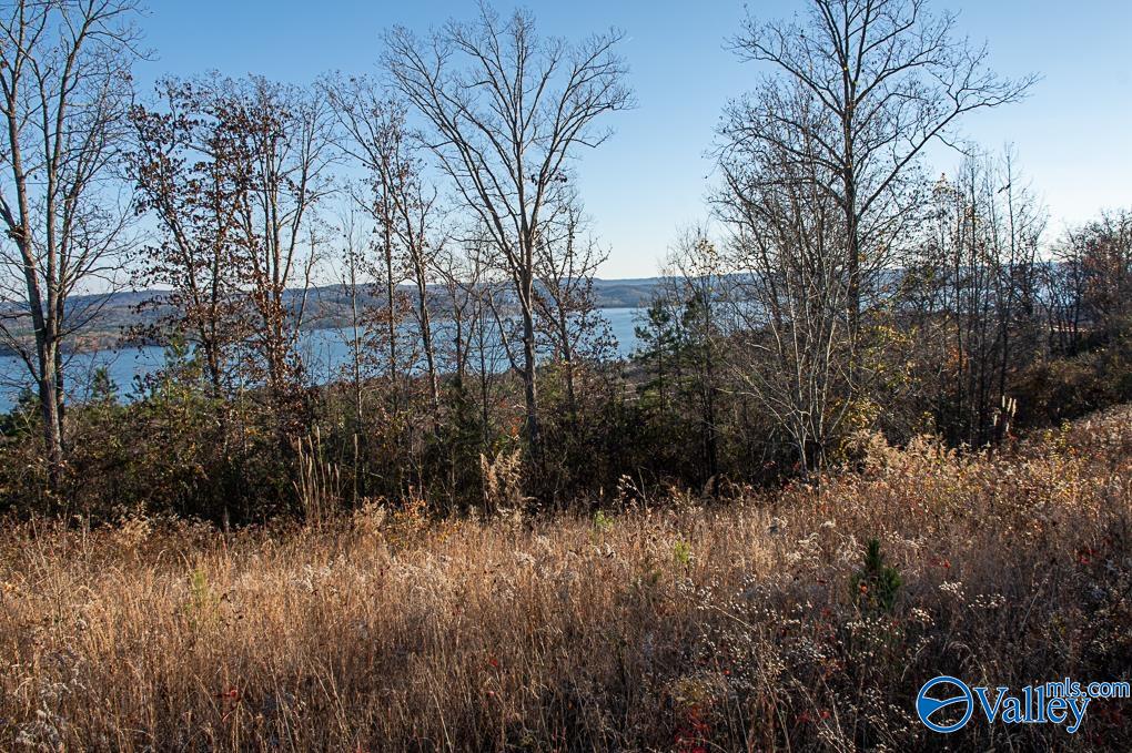 Lot 10 Keene Point Drive, Grant, Alabama image 48