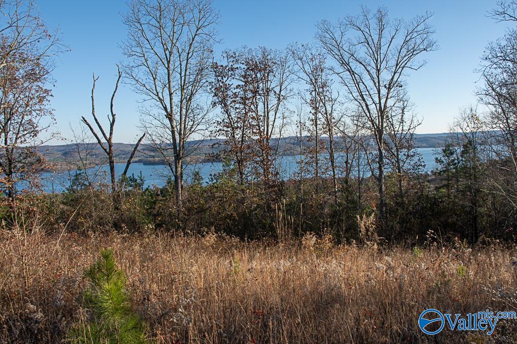 Lot 10 Keene Point Drive, Grant, Alabama image 47