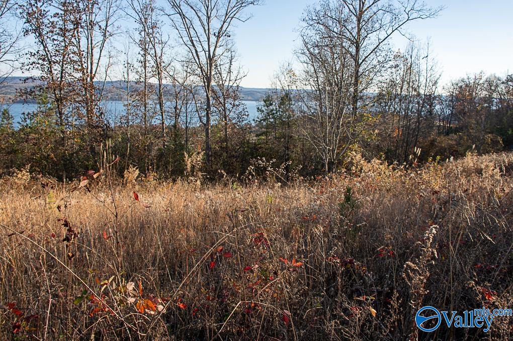 Lot 10 Keene Point Drive, Grant, Alabama image 41