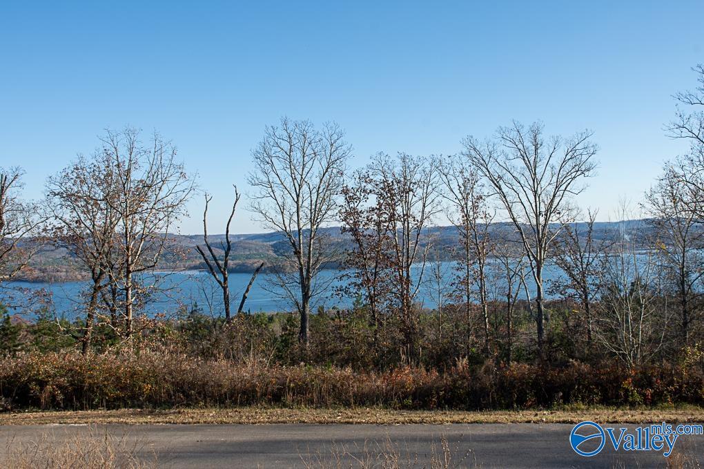 Lot 10 Keene Point Drive, Grant, Alabama image 33