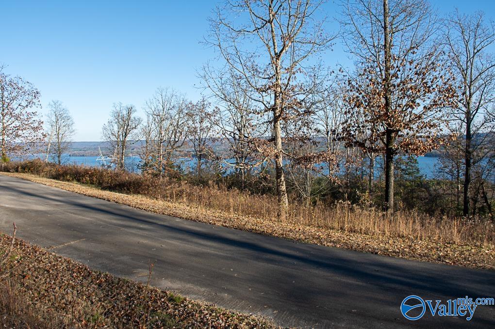 Lot 10 Keene Point Drive, Grant, Alabama image 49