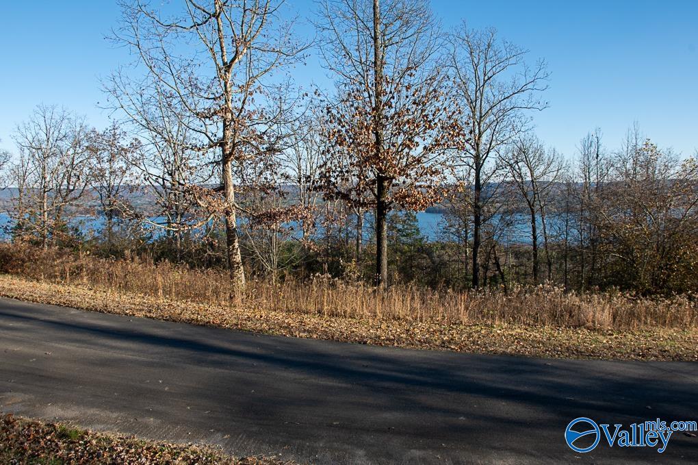 Lot 10 Keene Point Drive, Grant, Alabama image 50