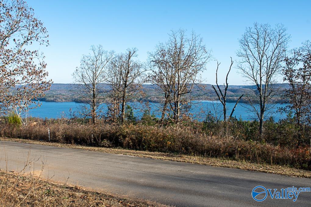 Lot 10 Keene Point Drive, Grant, Alabama image 10