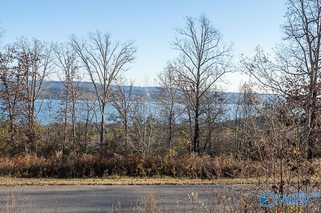 Lot 10 Keene Point Drive, Grant, Alabama image 35