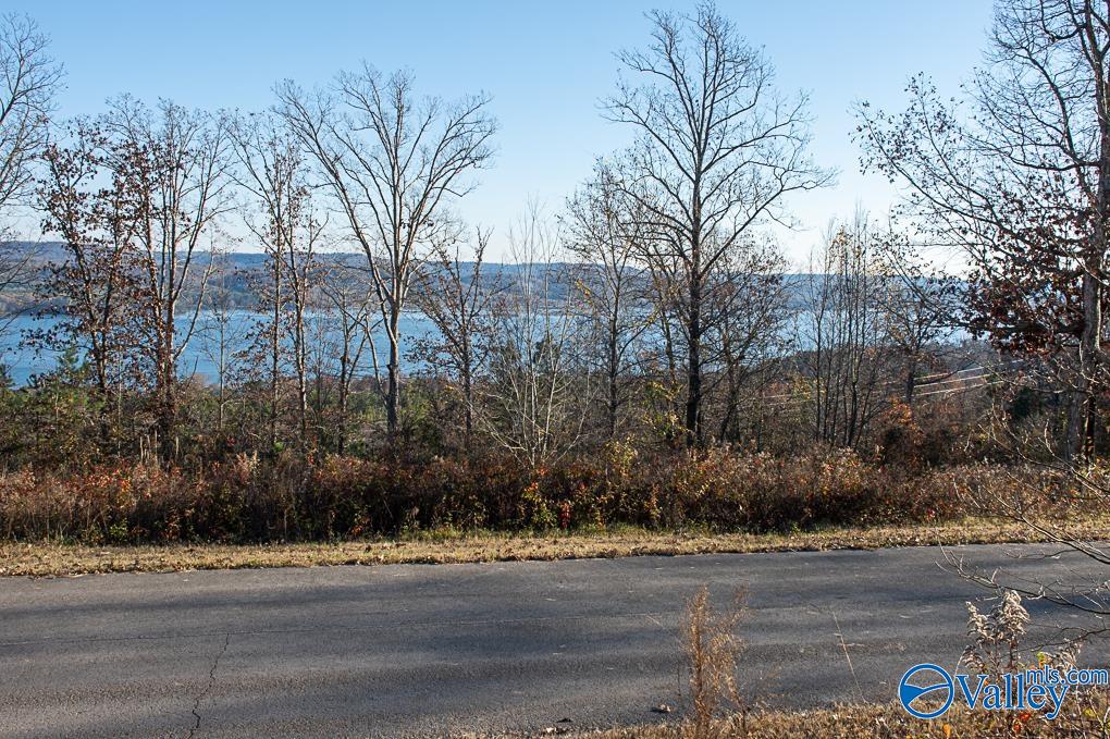 Lot 10 Keene Point Drive, Grant, Alabama image 30