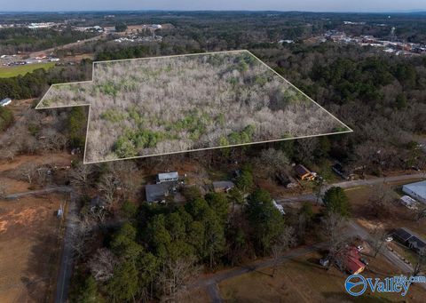 Vacant Land For Sale - 20 ACRES Hood Street<br/> Cherokee County, Centre, AL 35960