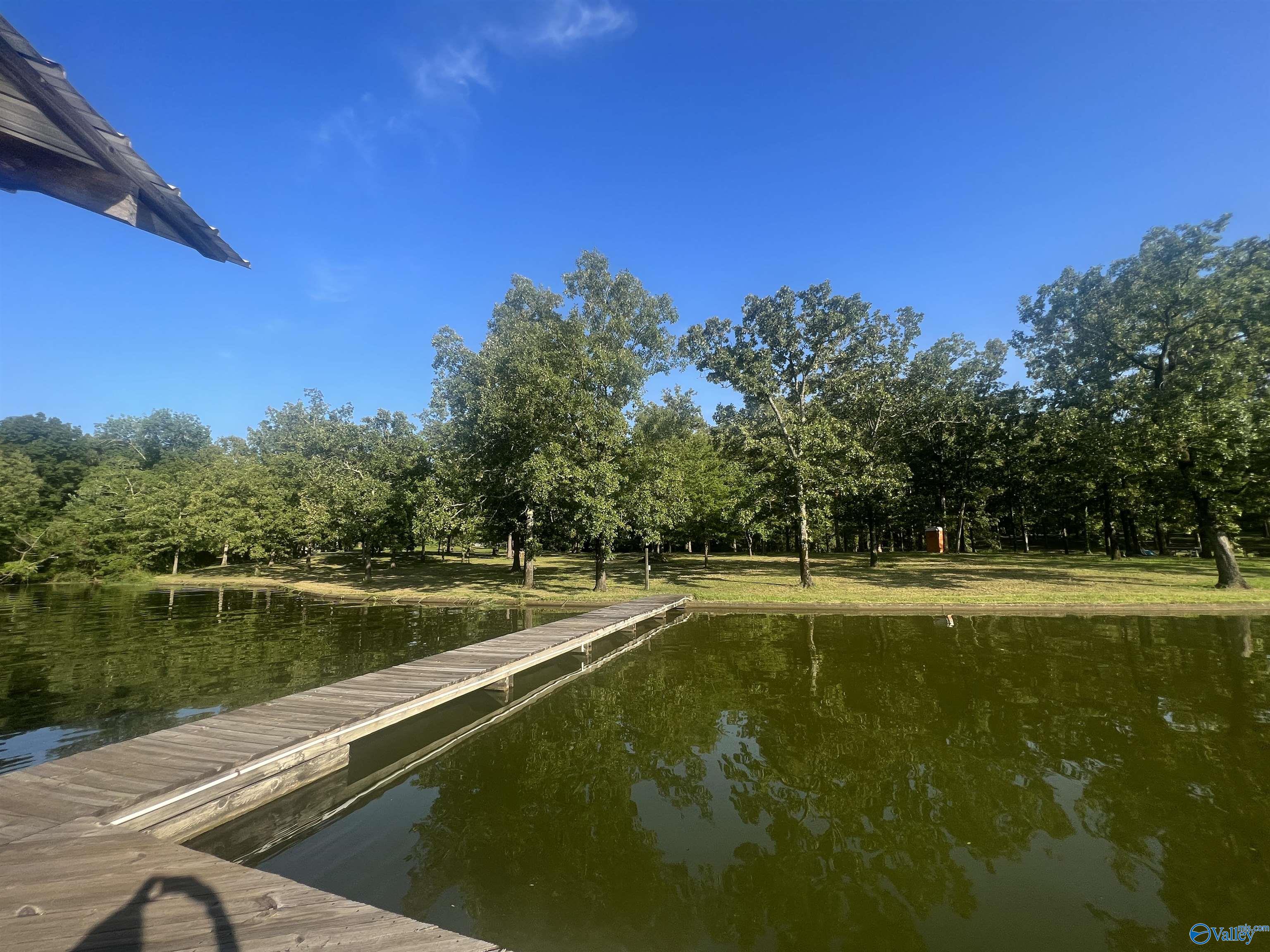 1464 County Road 597, Cedar Bluff, Alabama image 45