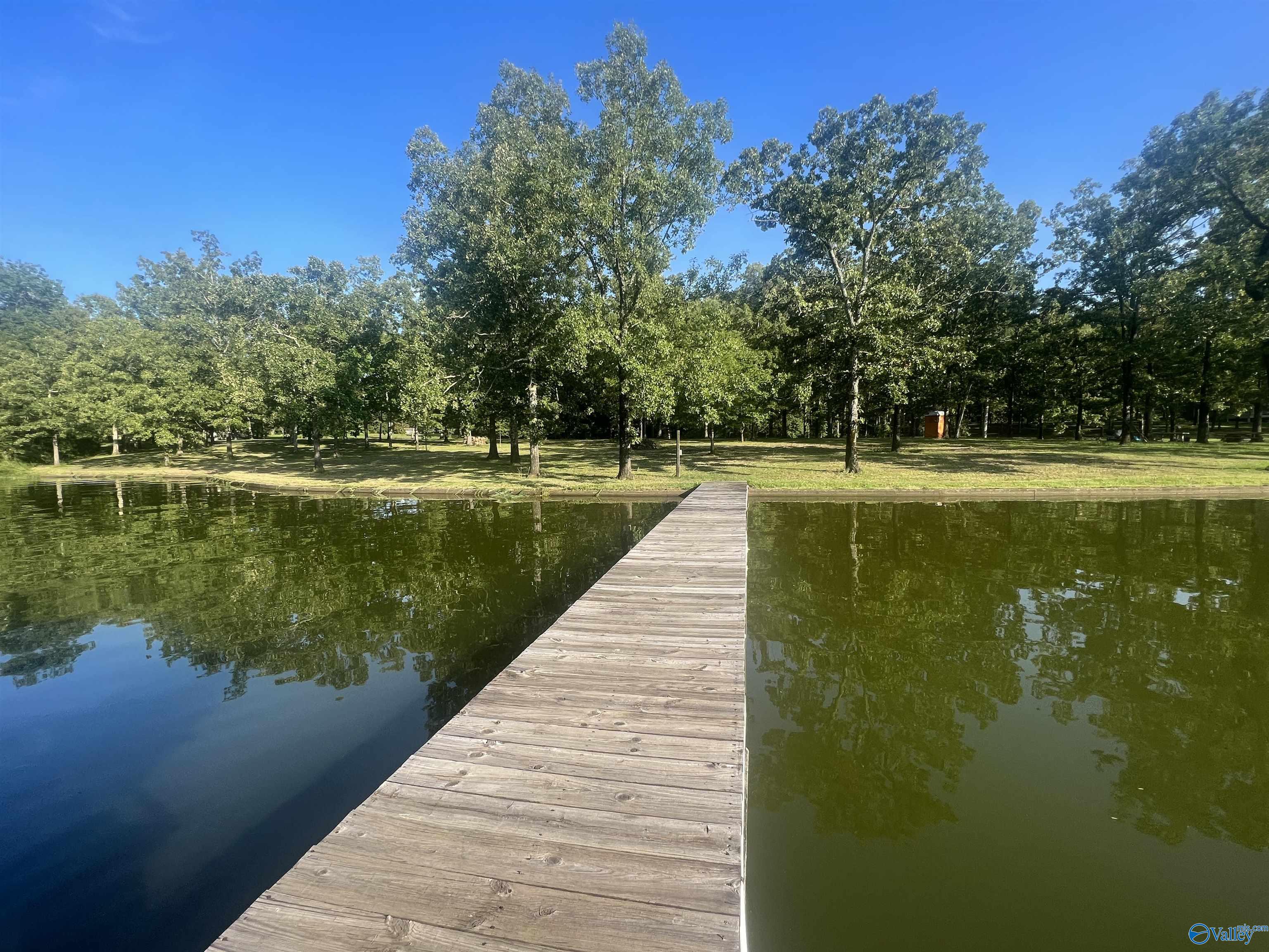 1464 County Road 597, Cedar Bluff, Alabama image 15