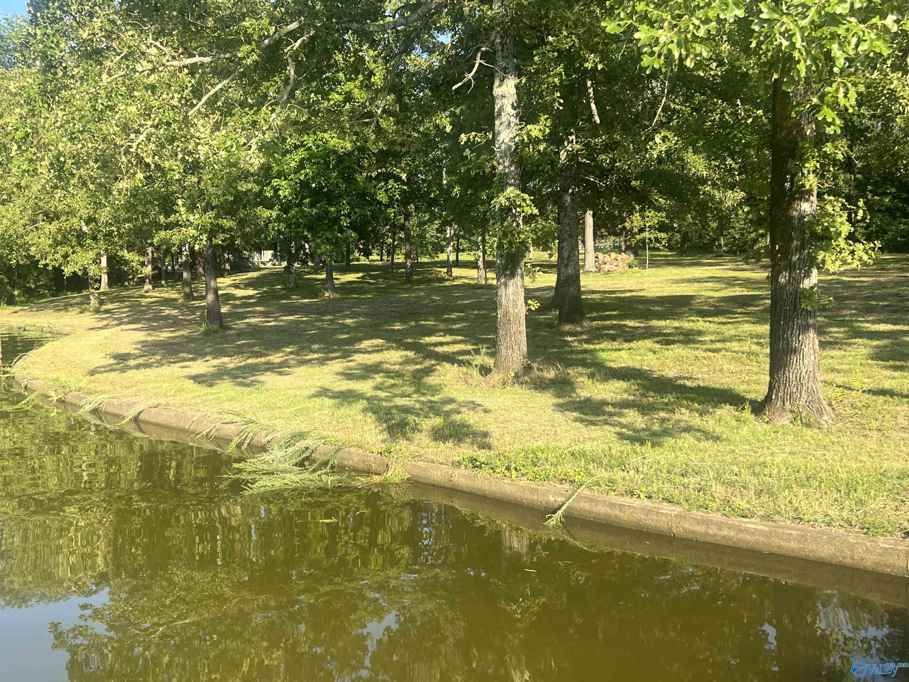 1464 County Road 597, Cedar Bluff, Alabama image 12