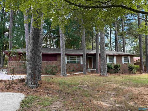 Photo of 208 Riverside Drive, Gadsden, AL 35903 (MLS # 21900735)