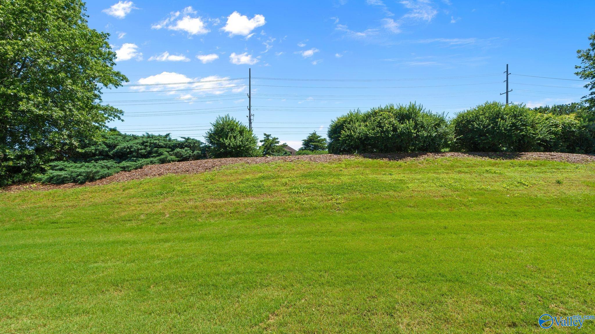 141 Woodsbrook Place, Madison, Alabama image 30