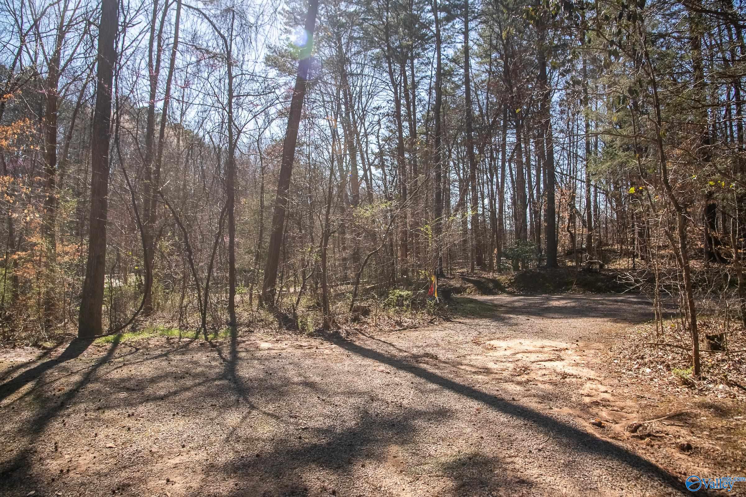 577 Rock Ridge Road, Valley Head, Alabama image 25