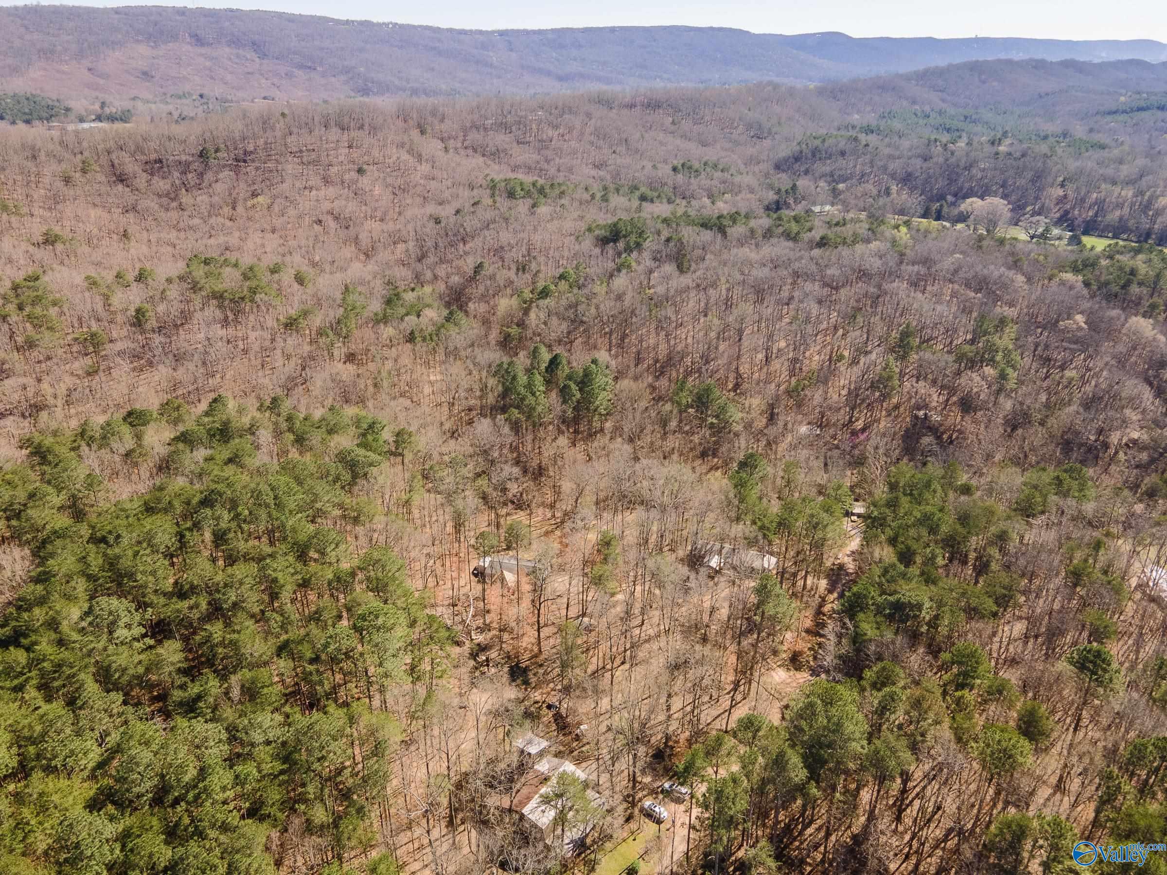 577 Rock Ridge Road, Valley Head, Alabama image 23
