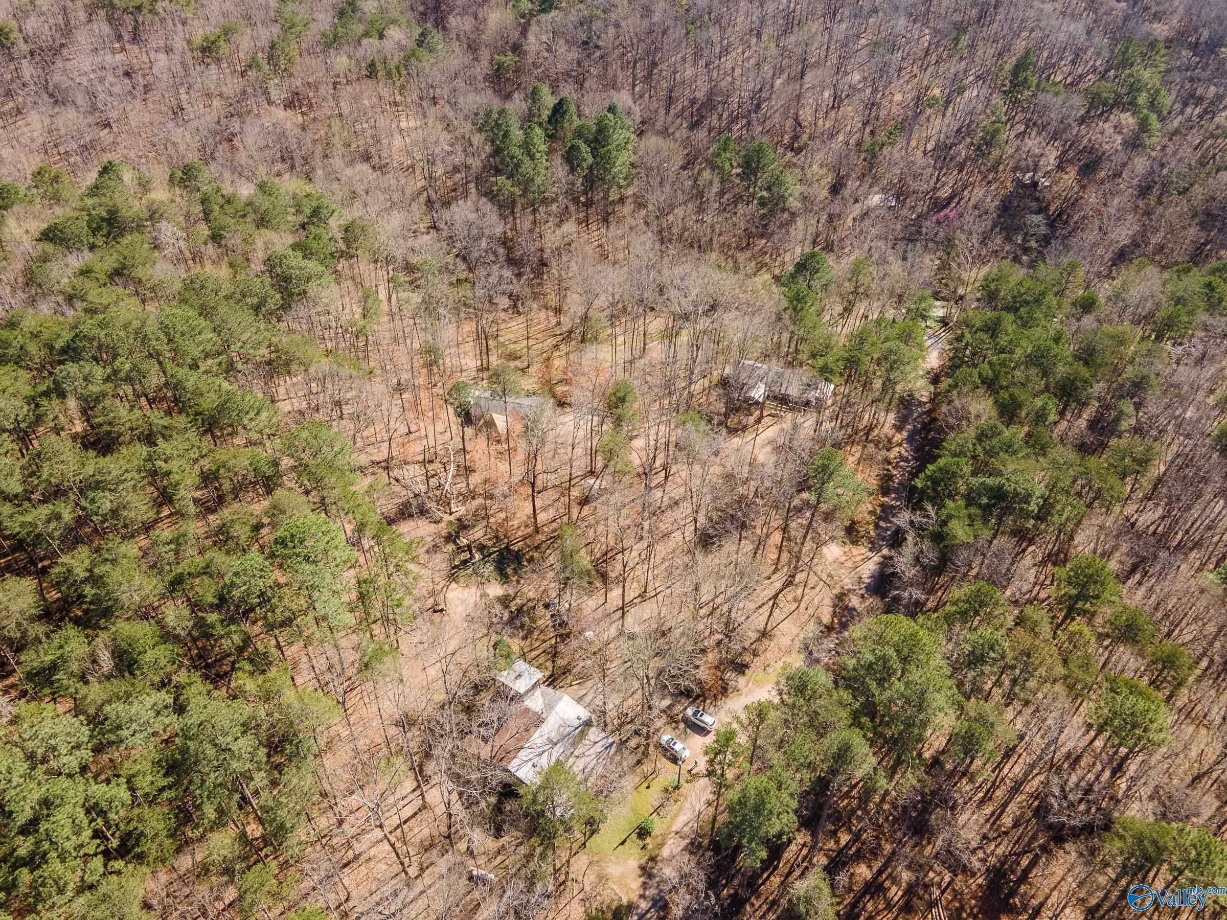 577 Rock Ridge Road, Valley Head, Alabama image 24