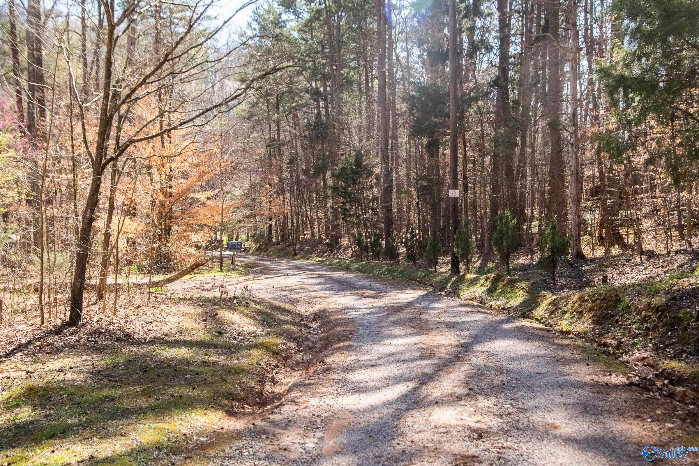 577 Rock Ridge Road, Valley Head, Alabama image 20
