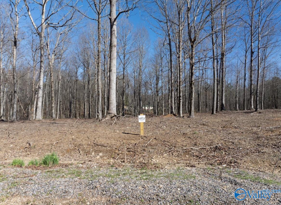 Lot 6 County Road 825, Scottsboro, Alabama image 3