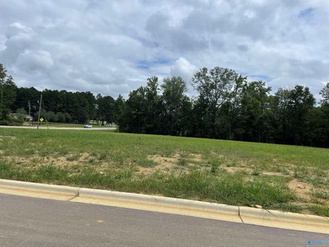 Vacant Land For Sale - 002 Steele Station Road<br/> Etowah County, Rainbow City, AL 35906