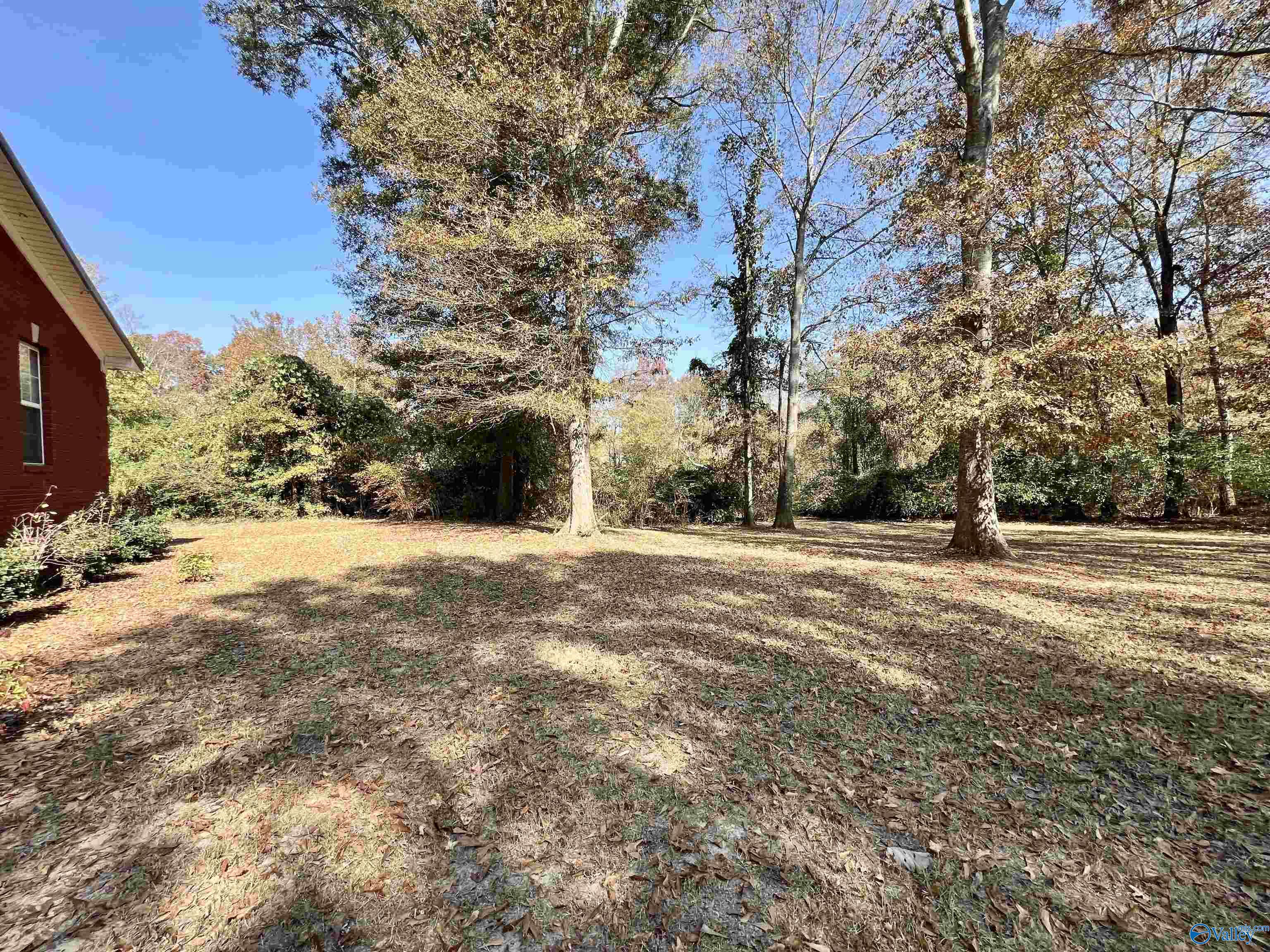 225 Hillside Drive, Arab, Alabama image 41