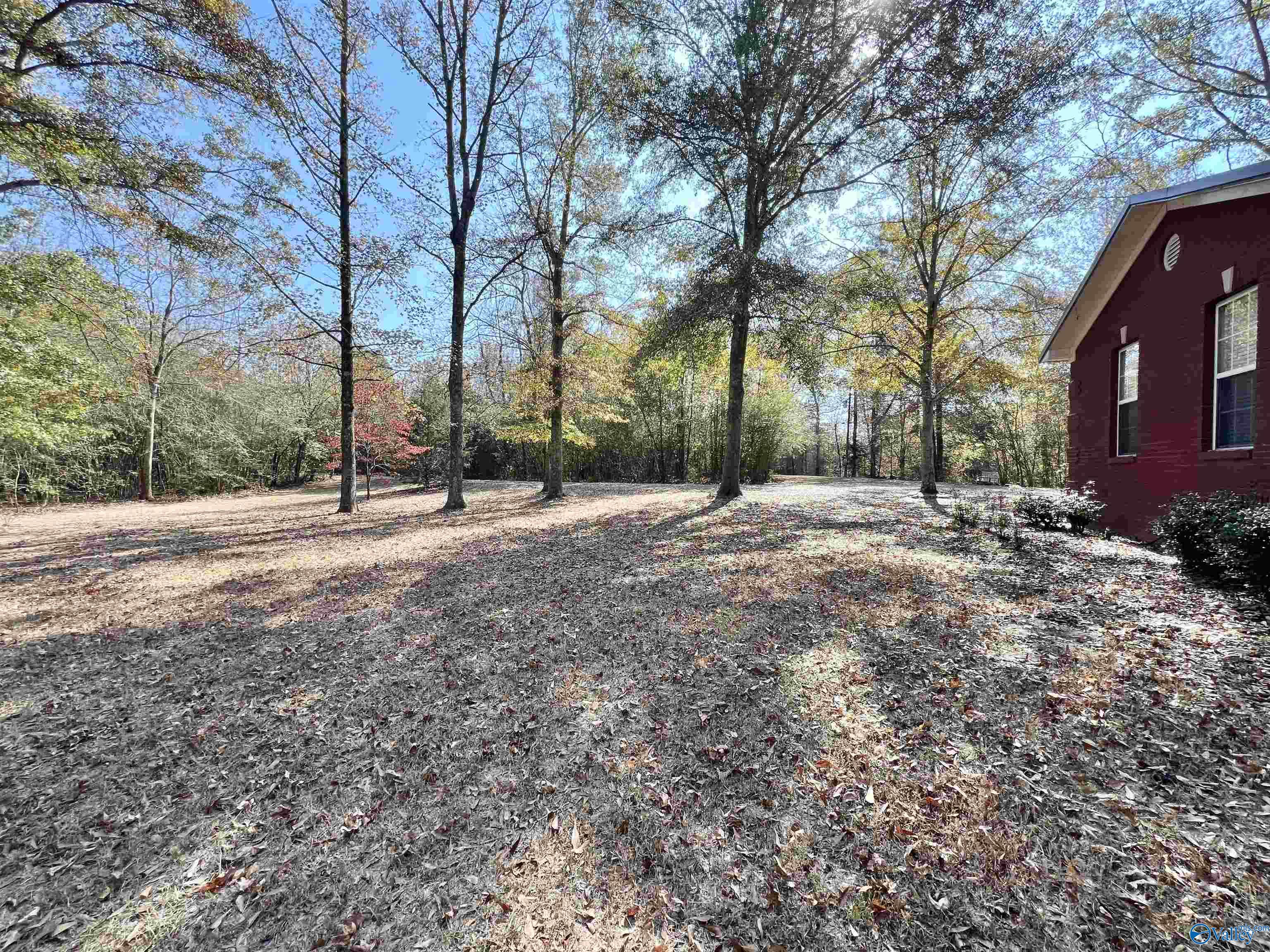 225 Hillside Drive, Arab, Alabama image 37