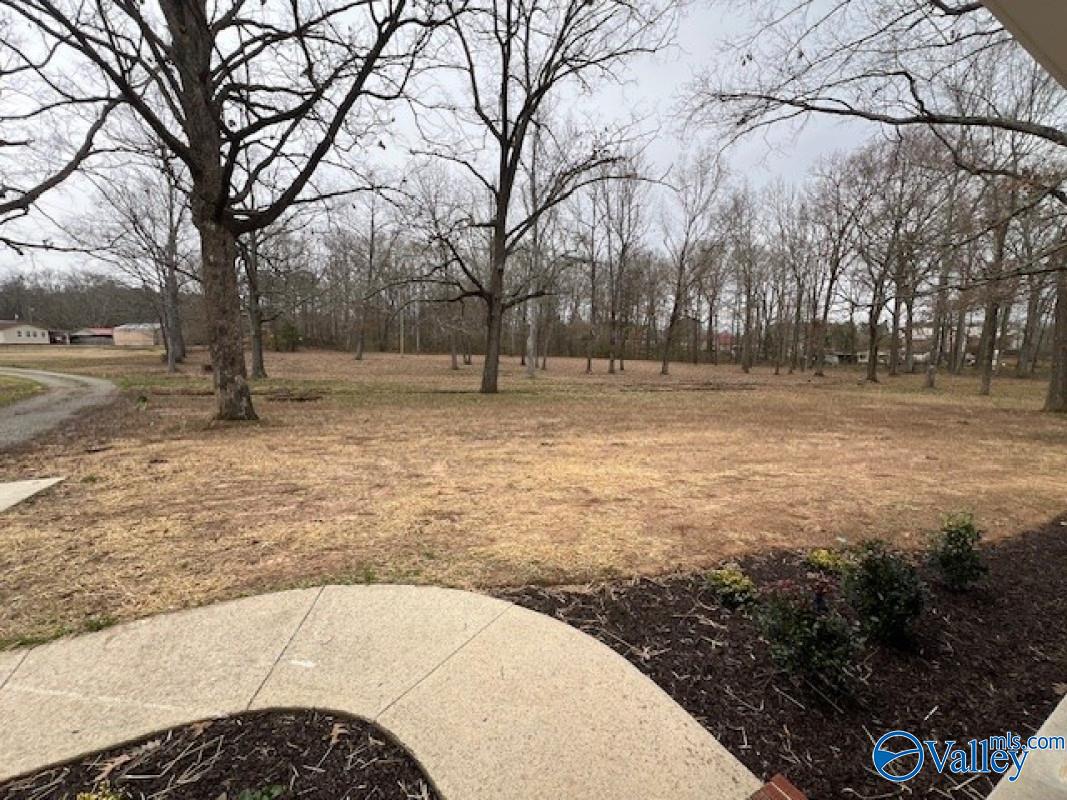 174 Iron Man Road, Hartselle, Alabama image 3