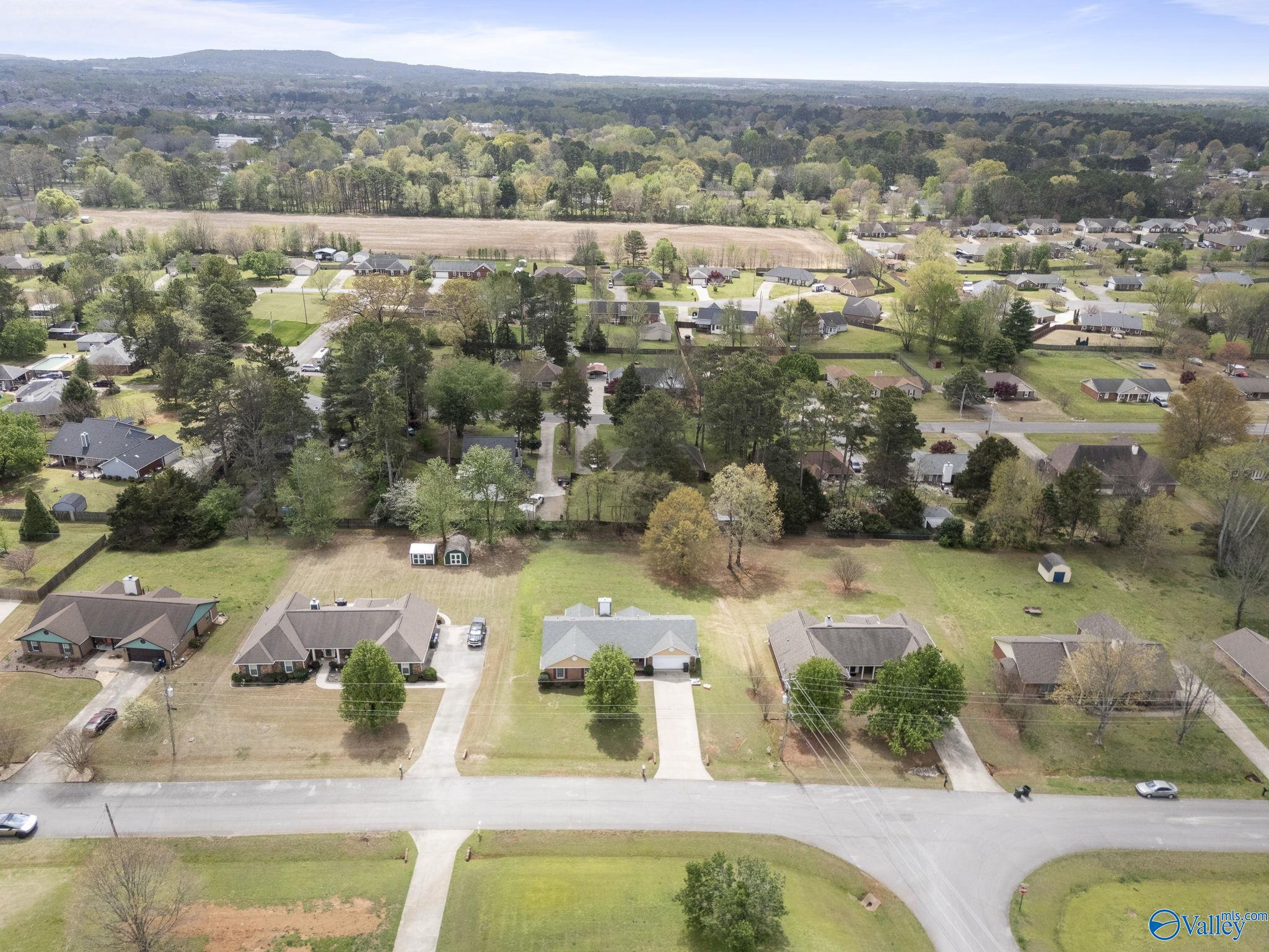 208 Sweet Bay Court, Harvest, Alabama image 41