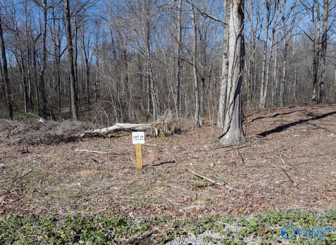 Lot 10 County Road 825, Scottsboro, Alabama image 2
