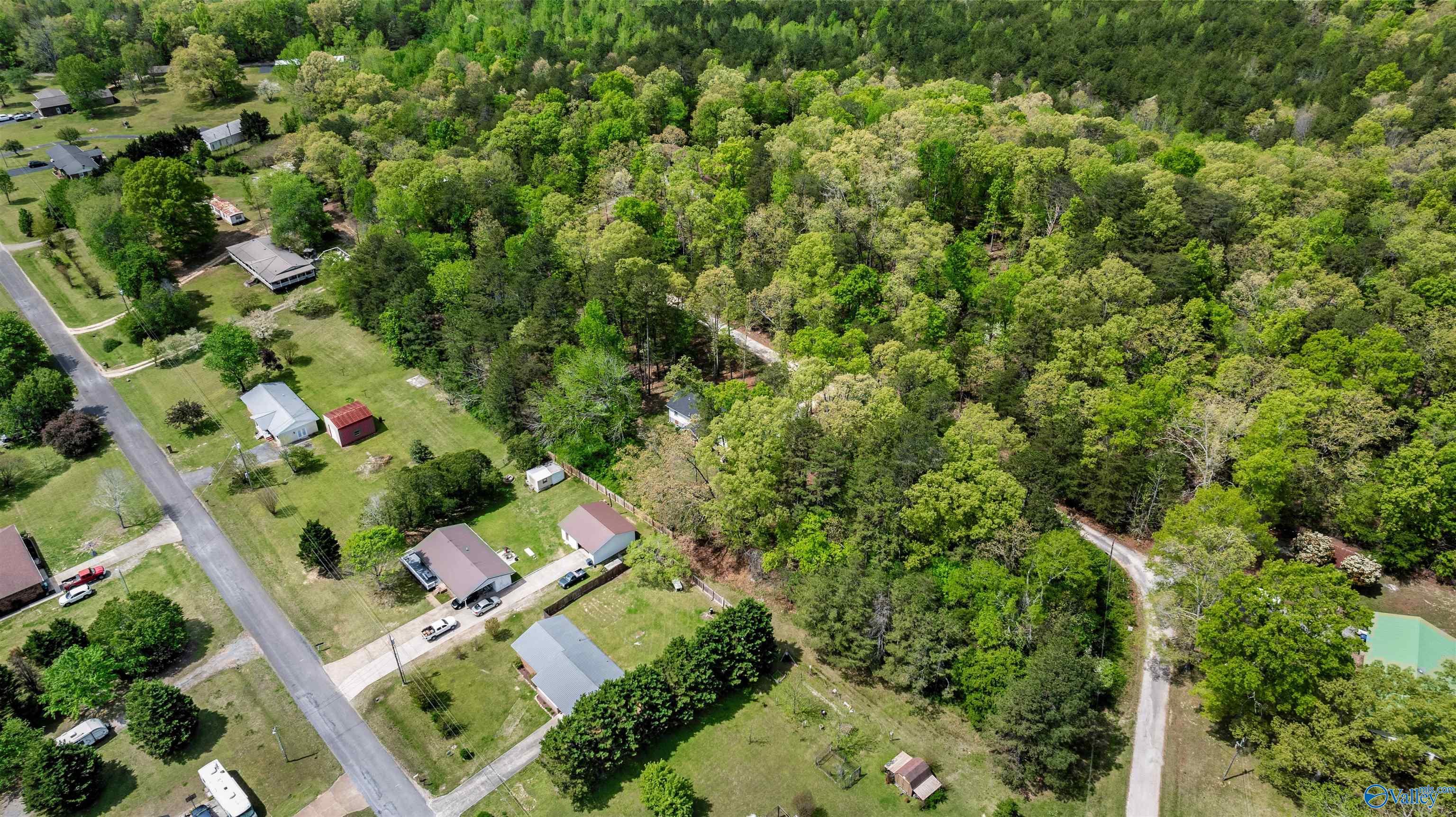 45 Hickory Lane, Valley Head, Alabama image 30