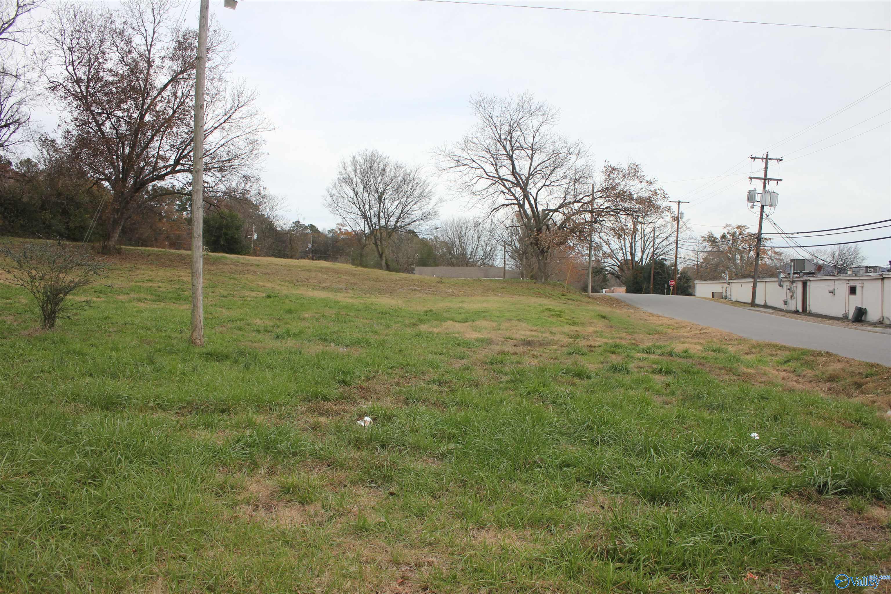 1900 Obrig Avenue, Guntersville, Alabama image 4