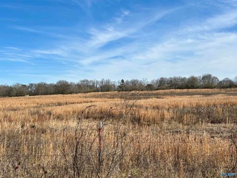 Vacant Land For Sale - 1.5 AC LOT 1 Strange Road<br/> Horton, AL 35980