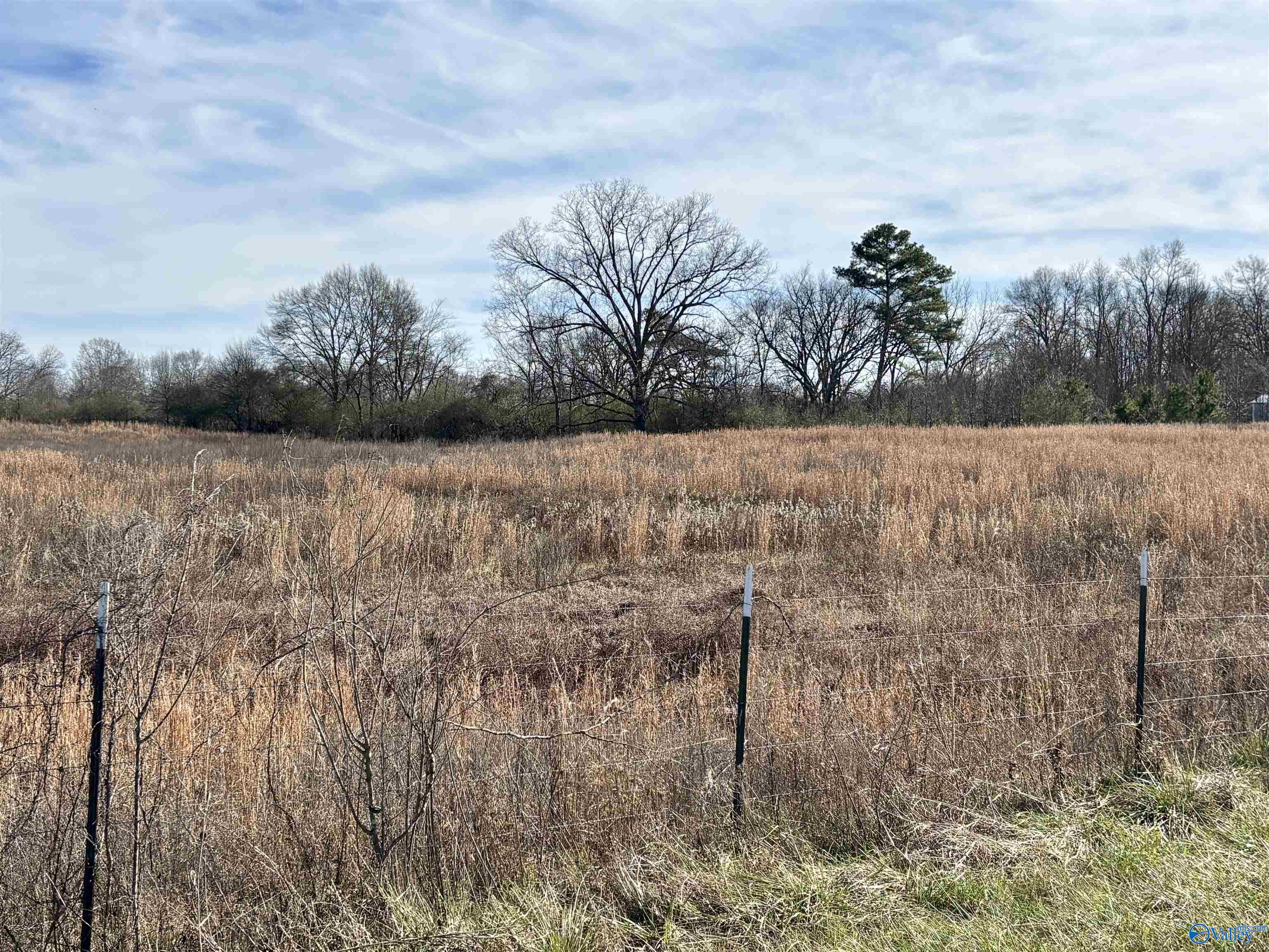 1.5 ac Lot 1 Strange Road