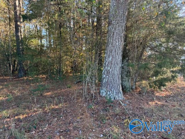 2 Acres Capshaw Road, Madison, Alabama image 4