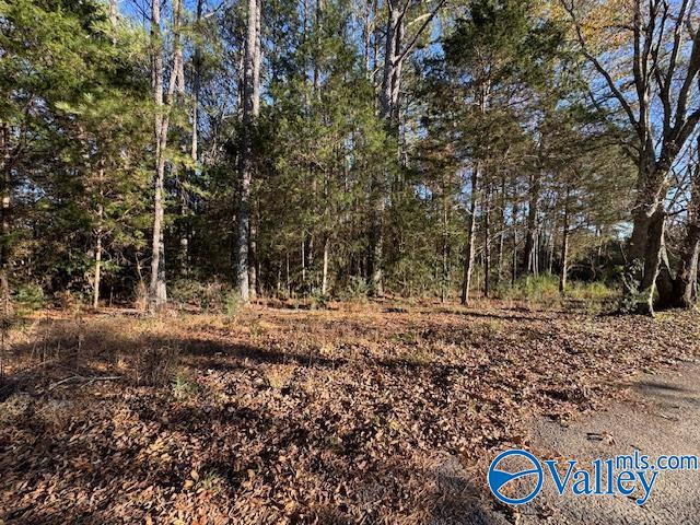 2 Acres Capshaw Road, Madison, Alabama image 6