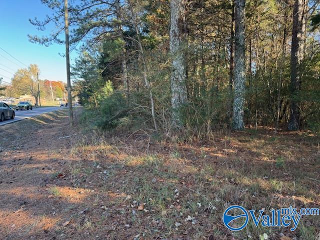 2 Acres Capshaw Road, Madison, Alabama image 3