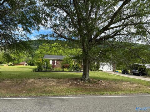 Photo of 5149 Green Valley Road, Southside, AL 35907 (MLS # 21917300)