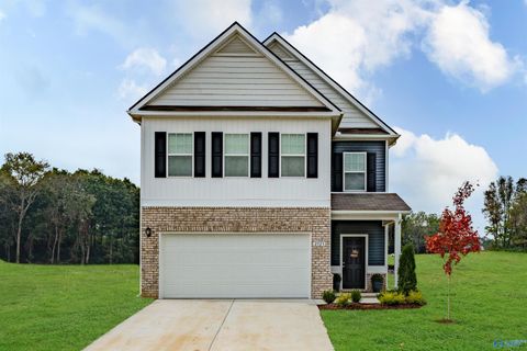 196 Mill Valley Way New Market AL 35761