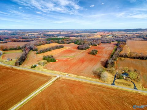 Vacant Land For Sale - 819 & 0 Hurricane Road<br/> New Market, AL 35761
