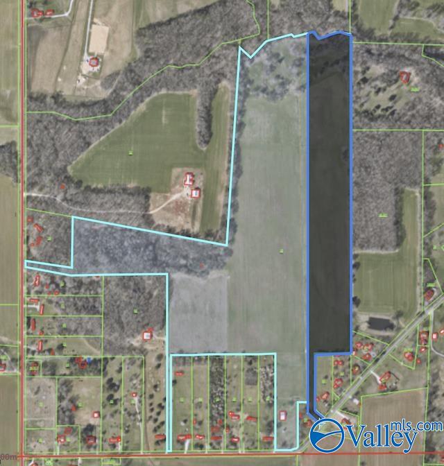 23 +/- Acres Mint Road, New Market, Alabama image 1