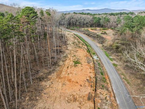 Vacant Land For Sale - 900-B LOT 5 County Road 114<br/> Jackson County, Scottsboro, AL 35769
