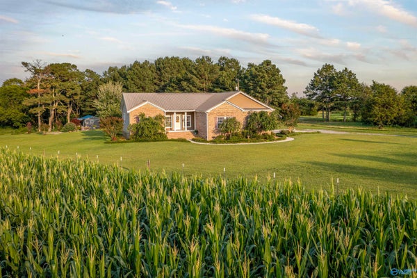 264 FORD LN, ALBERTVILLE, AL 35951 - Image da15b8078e72b44abe25fe90c962b256/4006967618