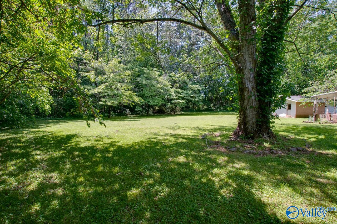 703 Cardinal Avenue, Madison, Alabama image 25